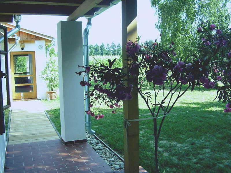 Martonvendeghaz 1 Villa Gelse Exteriör bild